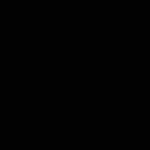 Meet your Posher, Riley